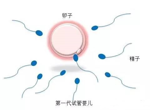 有偿孕妈借卵代怀咨询微信群